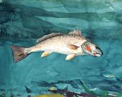 Channel Bass - 温斯洛·荷默